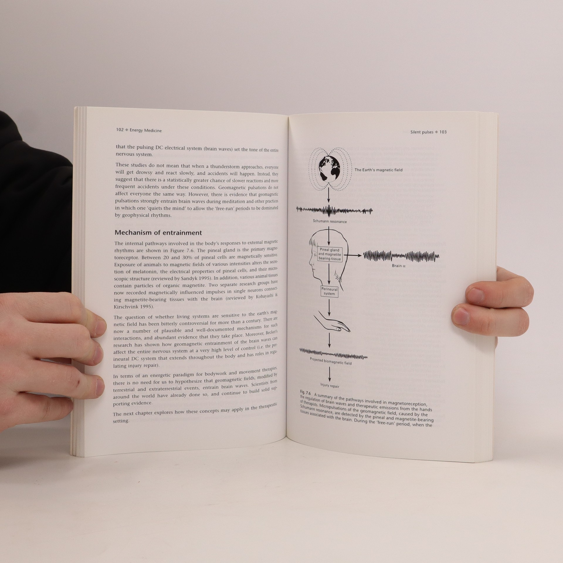 Energy medicine Oschman, James L knihobot.cz