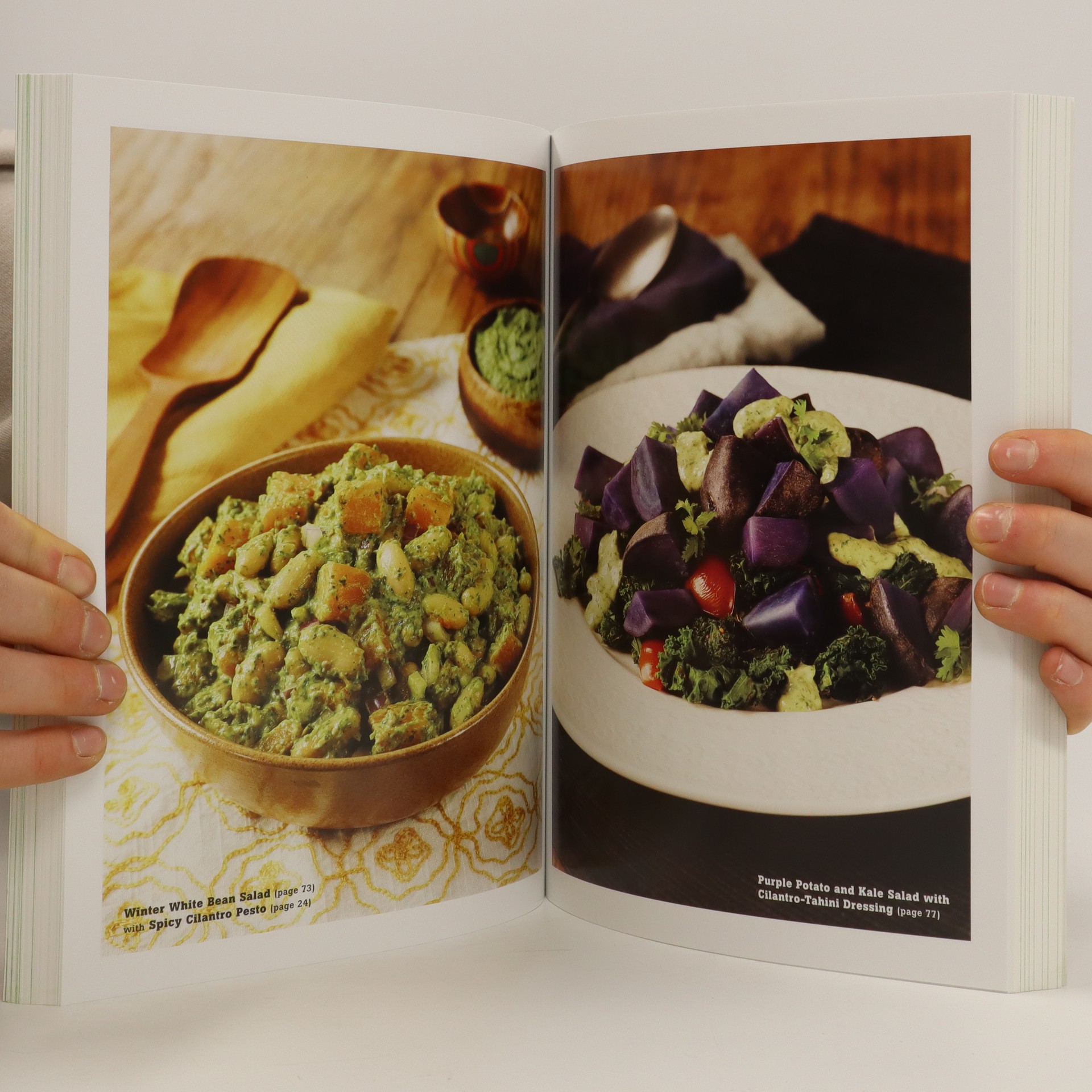 Forks Over Knives. The Cookbook Sroufe, Del knihobot.cz