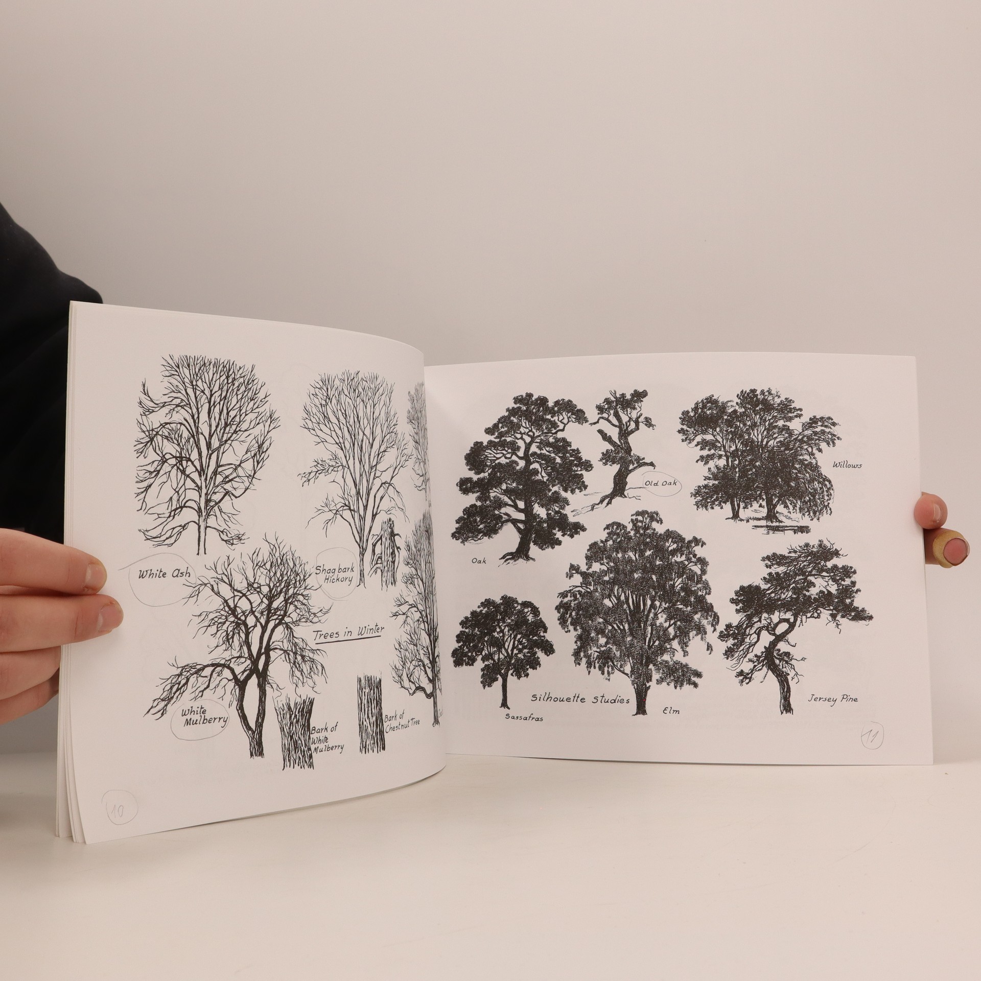 Drawing trees Perard, Victor knihobot.cz