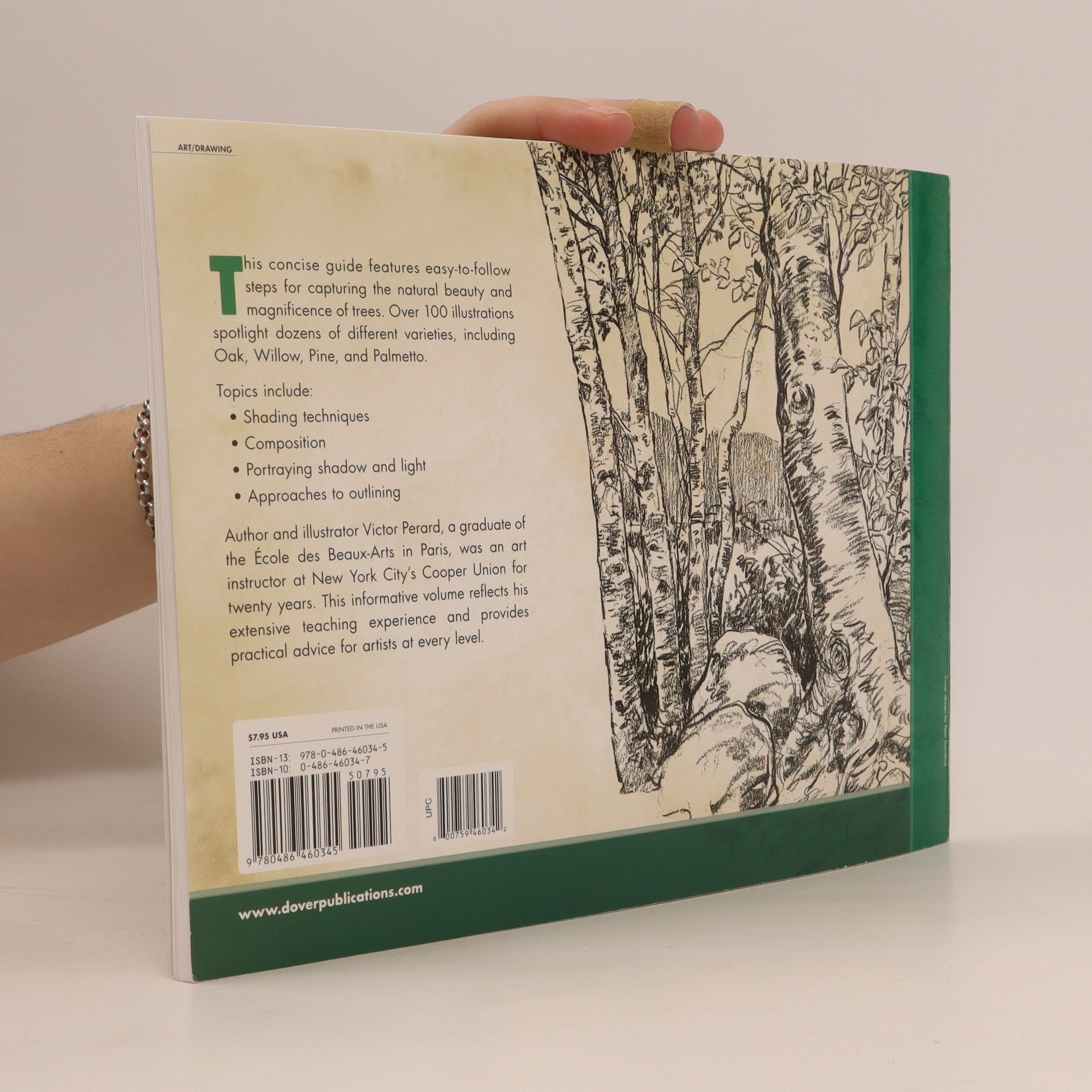 Drawing trees Perard, Victor knihobot.cz