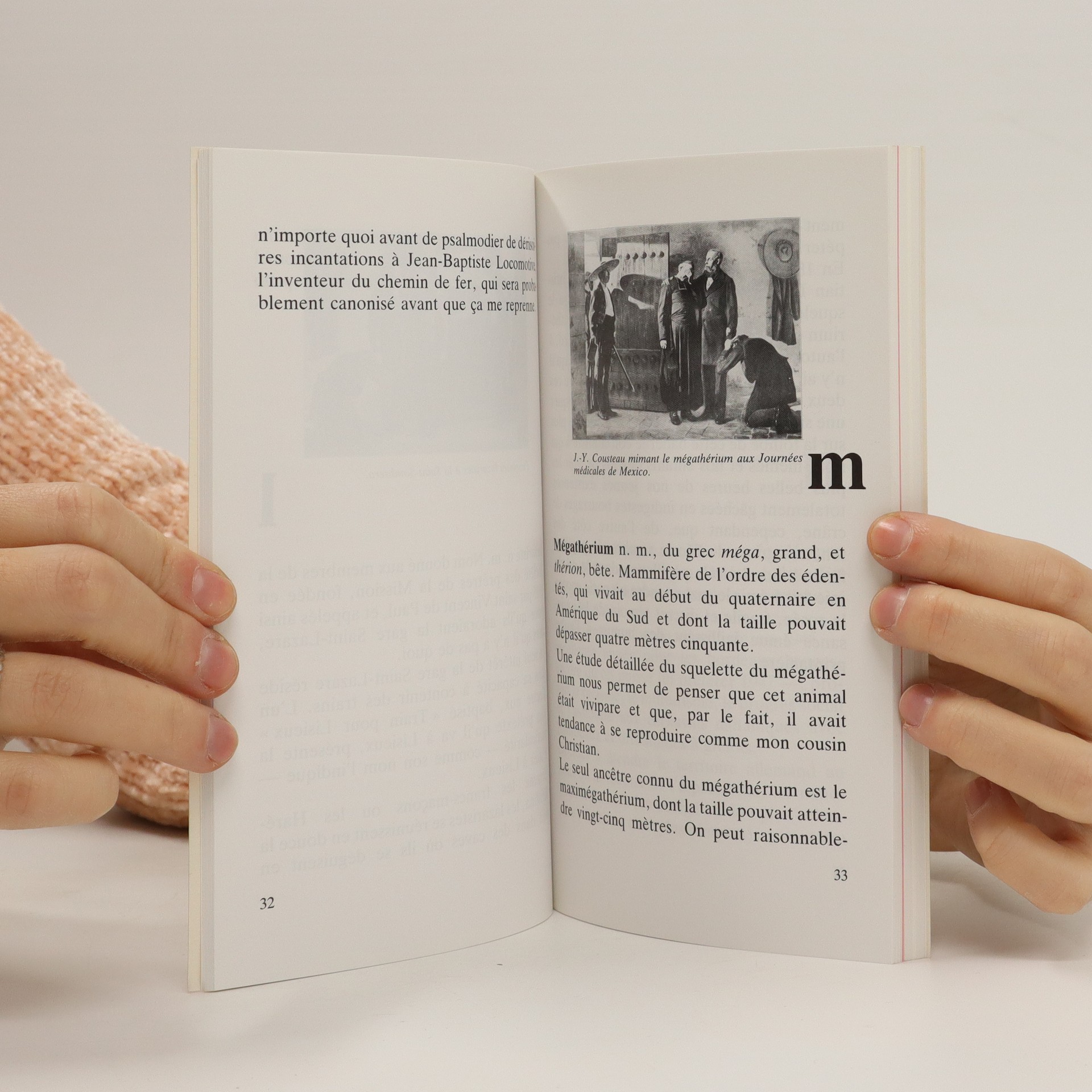 dictionnaire-superflu-desproges-pierre-knihobot-cz