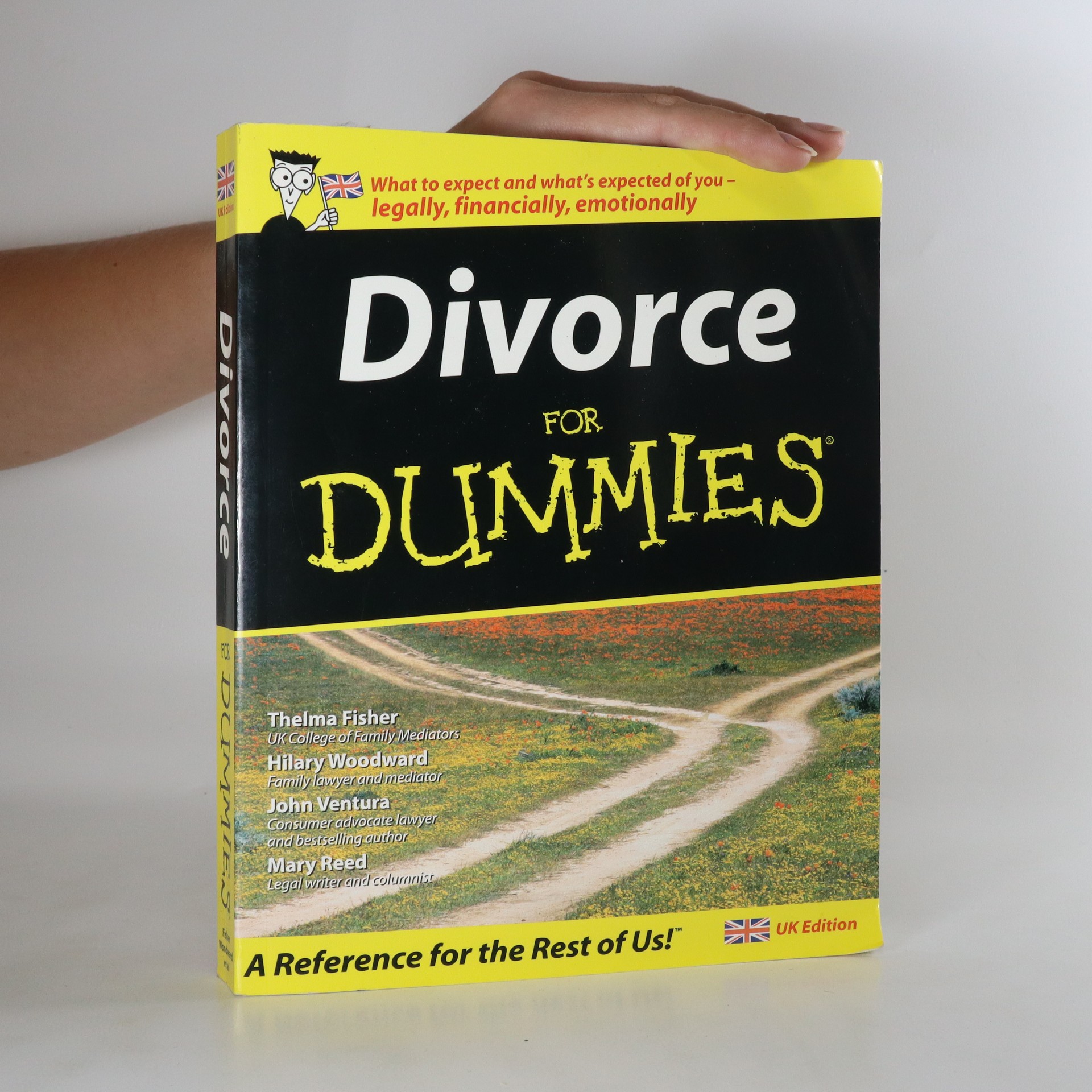 Divorce for dummies kolektiv knihobot.cz