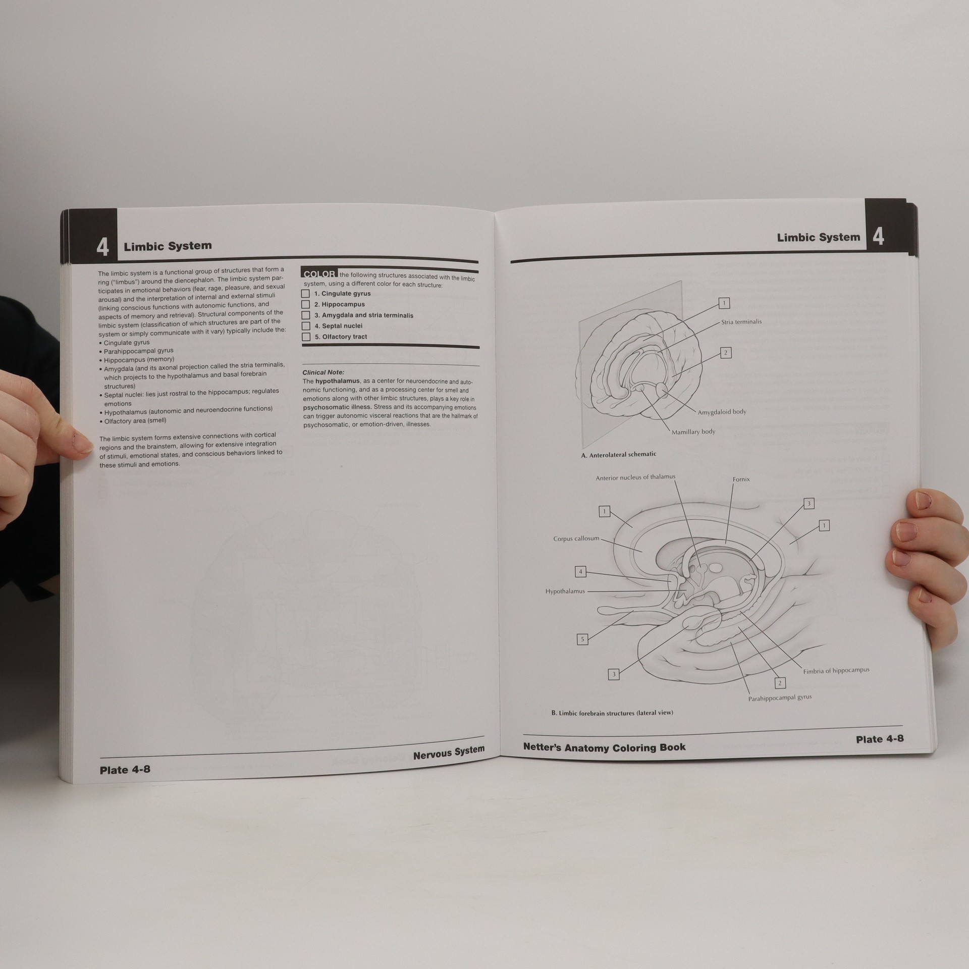 Netter s Anatomy Coloring Book Hansen John T Knihobot cz netter-s-anatomy-coloring-book-hansen-john-t-knihobot-cz