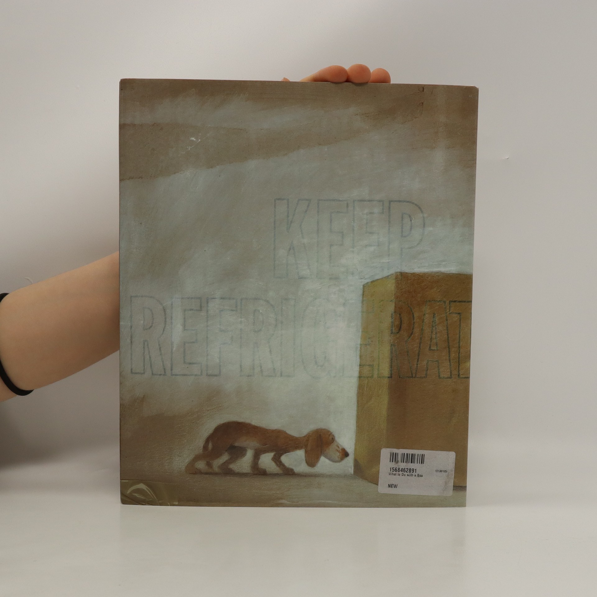 What to do with a box Yolen, Jane knihobot.cz