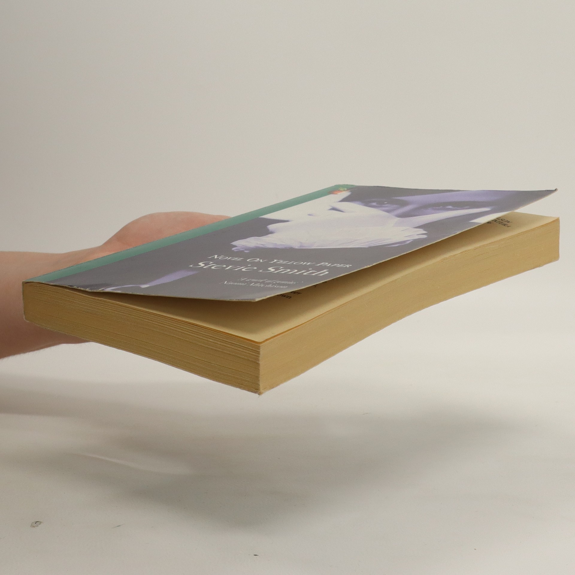 Novel on Yellow Paper Smith, Stevie knihobot.cz