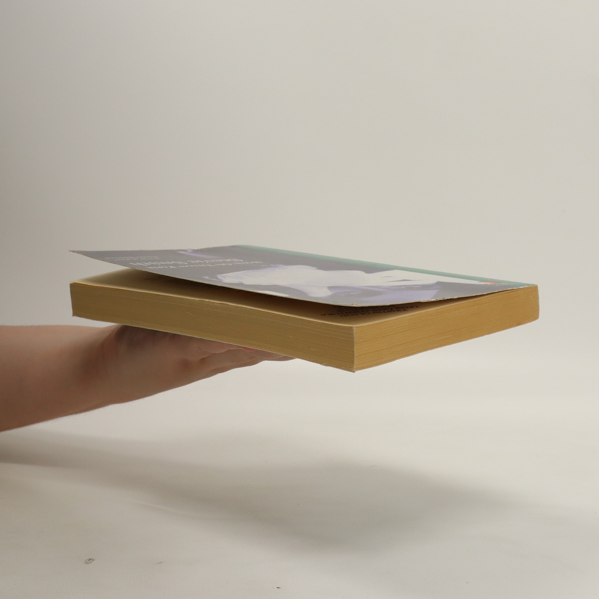 Novel on Yellow Paper Smith, Stevie knihobot.cz