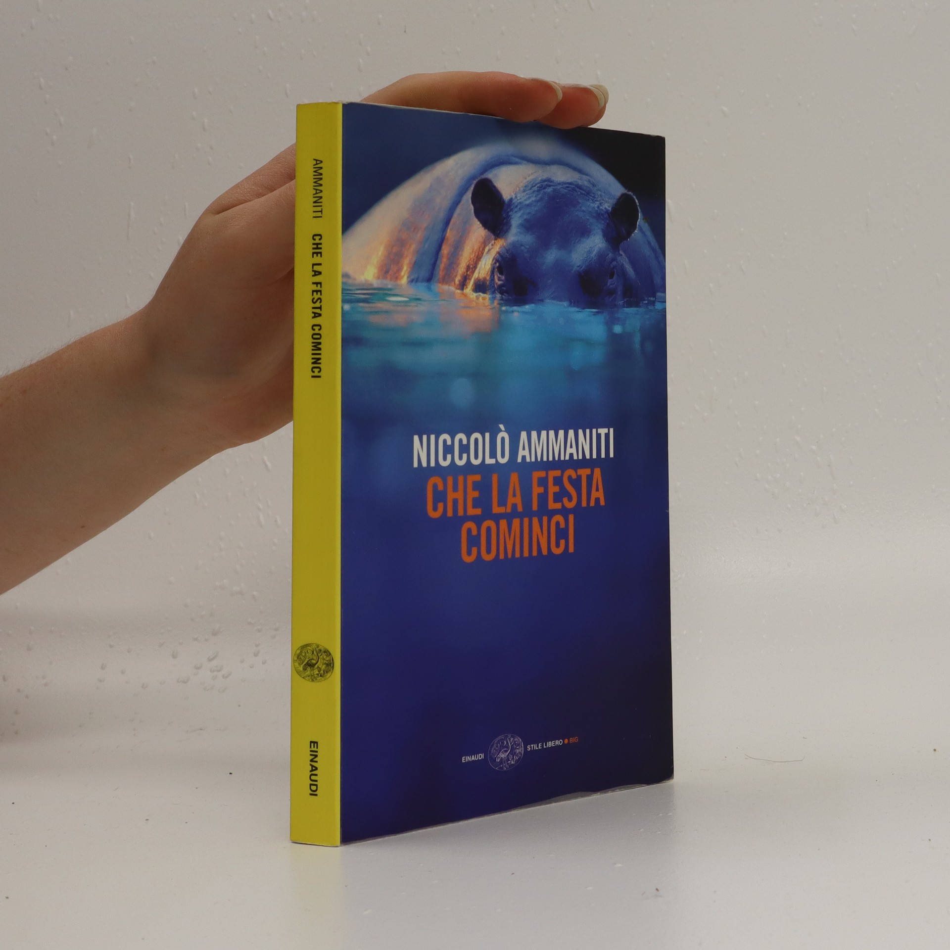 Decorazione Festiva 'Che La Festa Cominci' - Adesivo O Poster Per Feste E Eventi - Foto 7