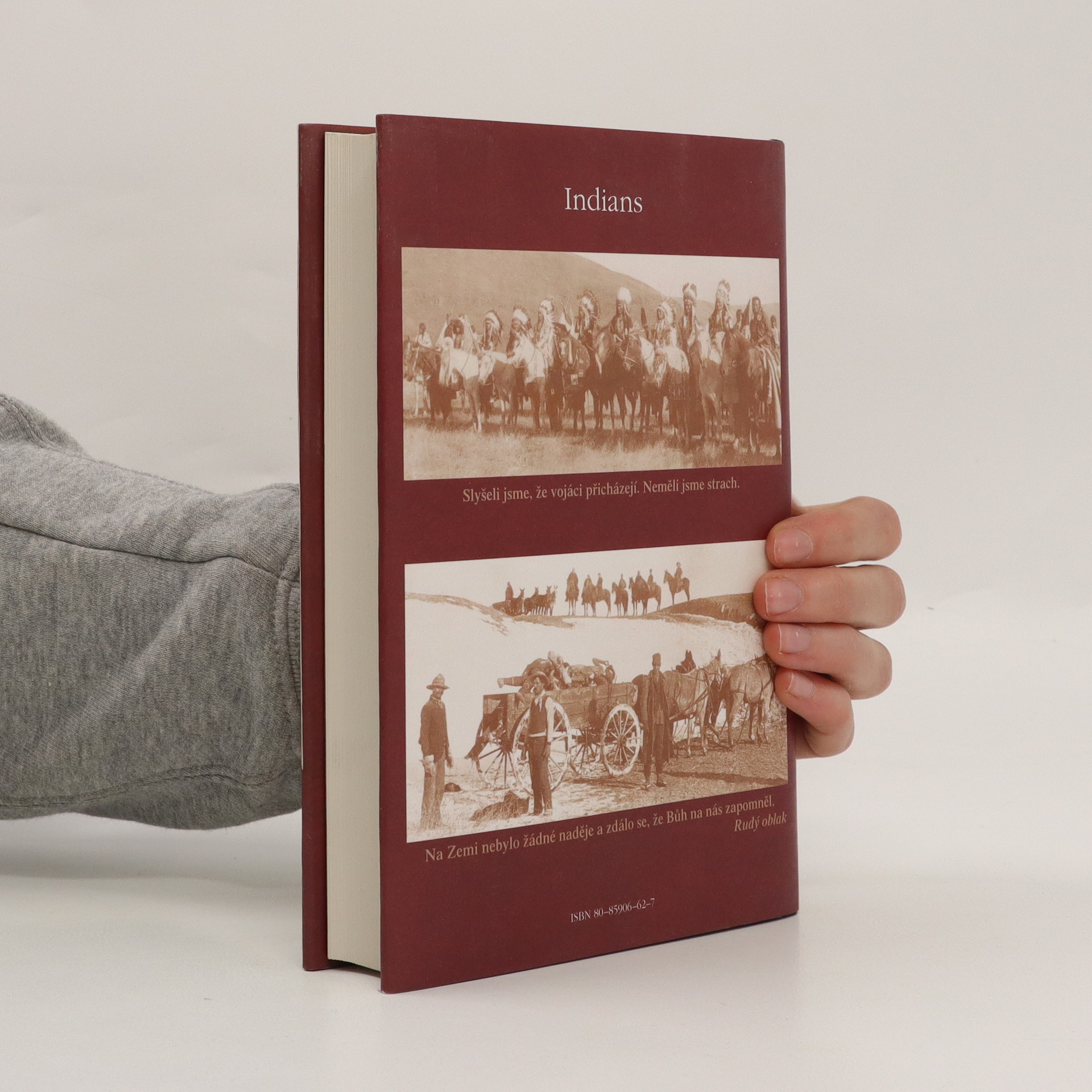 Mé srdce pohřběte u Wounded Knee - Brown, Dee - knihobot.cz