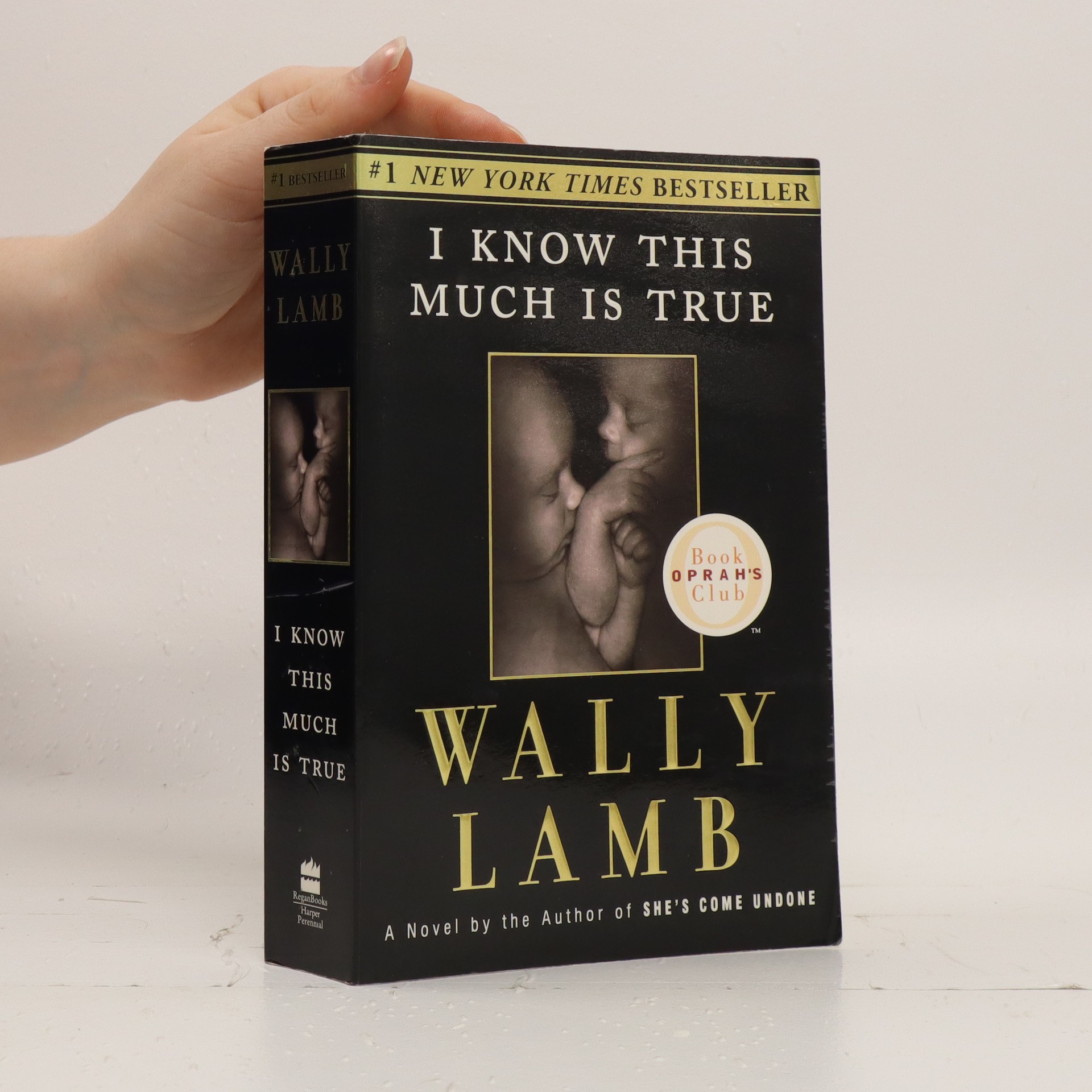 I know this much is true - Lamb, Wally - knihobot.cz - I Know This Much Is True By Wally Lamb